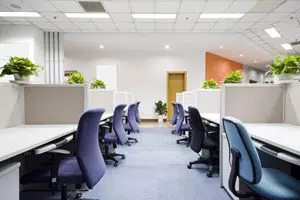 Commercial Carpet Cleaning