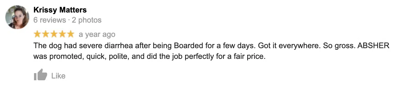 google review