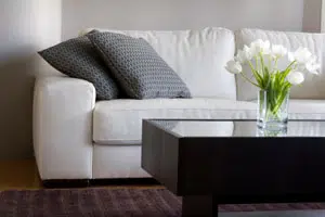 Upholstery Cleaning