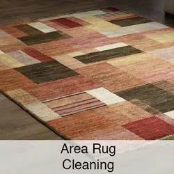 Area Rug Cleaning